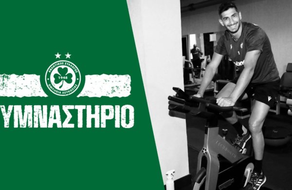 Day 2 | Gym 🏋️‍♂️